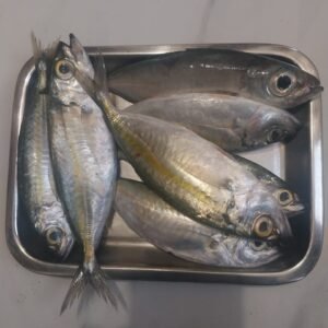 Ikan melus