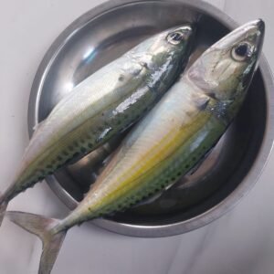 Ikan wara