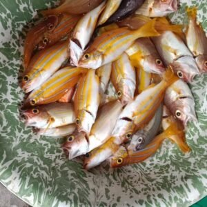 Ikan Dasar