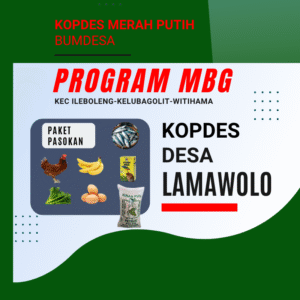 Paket Pasokan MBG (Kontrak SPPG) - KMP DESA LAMAWOLO, ADONARA