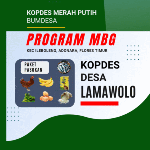 Paket Pasokan MBG (Kontrak SPPG) - KMP DESA LAMAWOLO, ADONARA