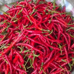 Cabe Merah - Per Paket 10 Kg - Poktan Honihama, Witihama, Adonara